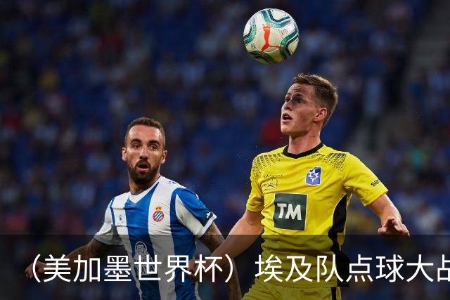 （美加墨世界杯）埃及队点球大战胜澳大利亚队 亚足联队伍全部出局